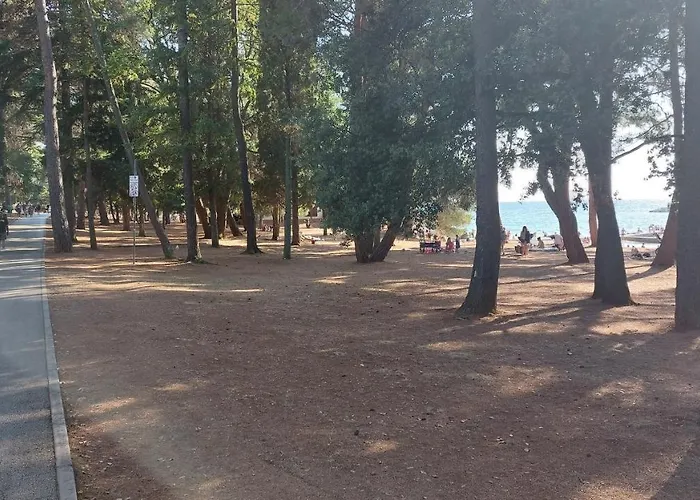 Apartamento Parenzo Premium *